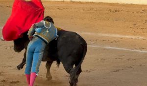 La crónica taurina de El Imparcial | Burgo de Osma: reivindicación de la estocada