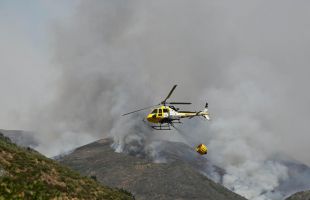 Medio Ambiente activa ahora tres brigadas para trabajar en Picos de Europa y Llamas
