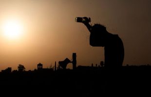 Cinco estaciones de Aemet superaron los 45 grados y 221, al menos 40 grados