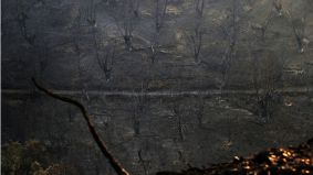Más de 35 detenidos y un centenar de investigados por causar incendios este verano