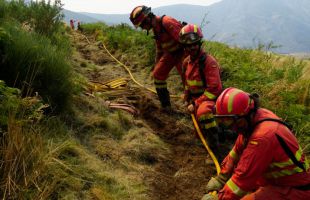 Estabilizado el incendio de Jarilla tras quemar 17.300 hectáreas durante once días