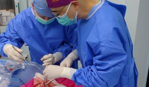 Trasplantan por primera vez un pulmón de cerdo a una persona en muerte cerebral