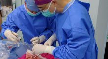Trasplantan por primera vez un pulmón de cerdo a una persona en muerte cerebral