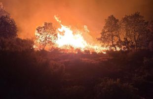 Los incendios forestales generan tormentas ‘sucias’ que afectan al clima
