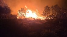 Los incendios forestales generan tormentas ‘sucias’ que afectan al clima