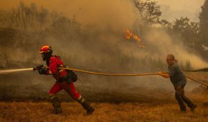 Los incendios en España han afectado a casi 18.000 fincas, según los registradores