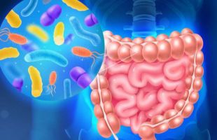 Microbiota: hallan una molécula clave contra el hígado graso