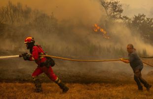 Los incendios en España han afectado a casi 18.000 fincas, según los registradores