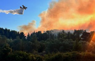 El fuego quemó 336.345 hectáreas solo en agosto