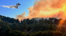 El fuego quemó 336.345 hectáreas solo en agosto