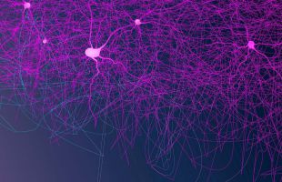 Cambios en las neuronas facilitan el síndrome de Tourette