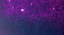 Cambios en las neuronas facilitan el síndrome de Tourette