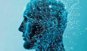 Los ritmos cerebrales revelan cómo el cerebro elige las rutas para procesar la información