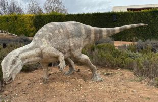 Descubren nuevos dinosaurios herbívoros del Jurásico Superior en Teruel y Valencia