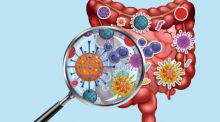 Viroma, el arma secreta del intestino
