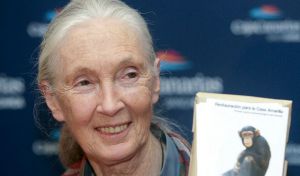Muere a los 91 años Jane Goodall, experta mundial en chimpancés