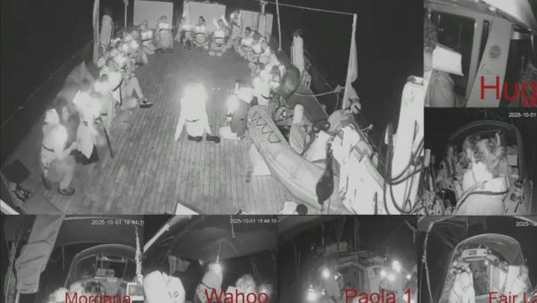 La Marina tomará el control de los barcos mientras 600 policías esperarán en puerto para el traslado de los activistas a prisión antes de ser deportados.