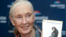 Muere a los 91 años Jane Goodall, experta mundial en chimpancés