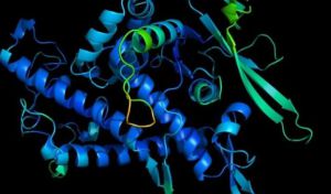 Científicos advierten sobre el peligro de las proteínas sintéticas creadas con IA