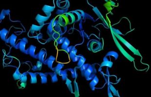 Científicos advierten sobre el peligro de las proteínas sintéticas creadas con IA