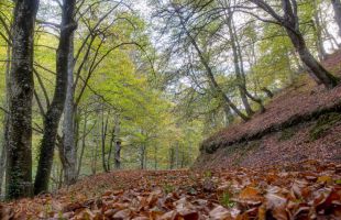 El tiempo: descenso notable de las temperaturas en la mitad nordeste