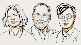 El Nobel de Medicina reconoce los descubrimientos sobre el sistema inmune