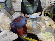 Macrooperación contra el tráfico de marihuana: 35 detenidos e incautadas cerca de 17.000 plantas