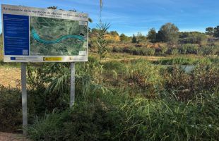 El ADN confirma que el cuerpo hallado en Manises es el de uno de los tres desaparecidos tras la dana