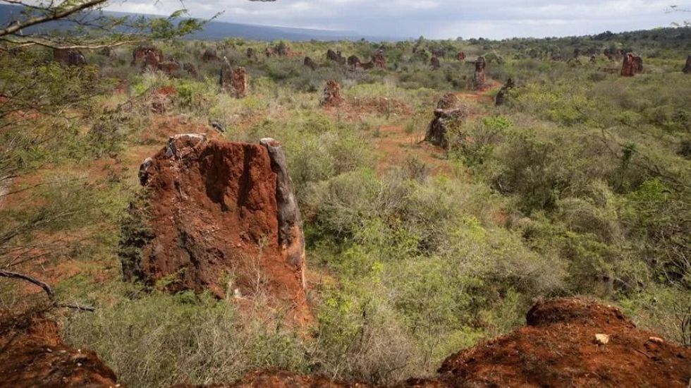 China también suspende los controles a la exportación de tierras raras para la Unión Europea