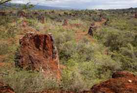 China también suspende los controles a la exportación de tierras raras para la Unión Europea