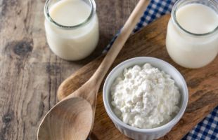 Investigadoras demuestran cómo el kéfir influye en la respuesta inmune