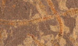 Descubren nuevas huellas químicas de vida en rocas de más de 3.300 millones de años