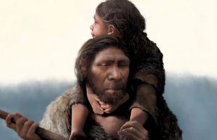 Los neandertales practicaron 'canibalismo selectivo' con mujeres y niños