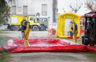 Elevan a nueve los casos de jabalíes con peste porcina en el radio del primer foco