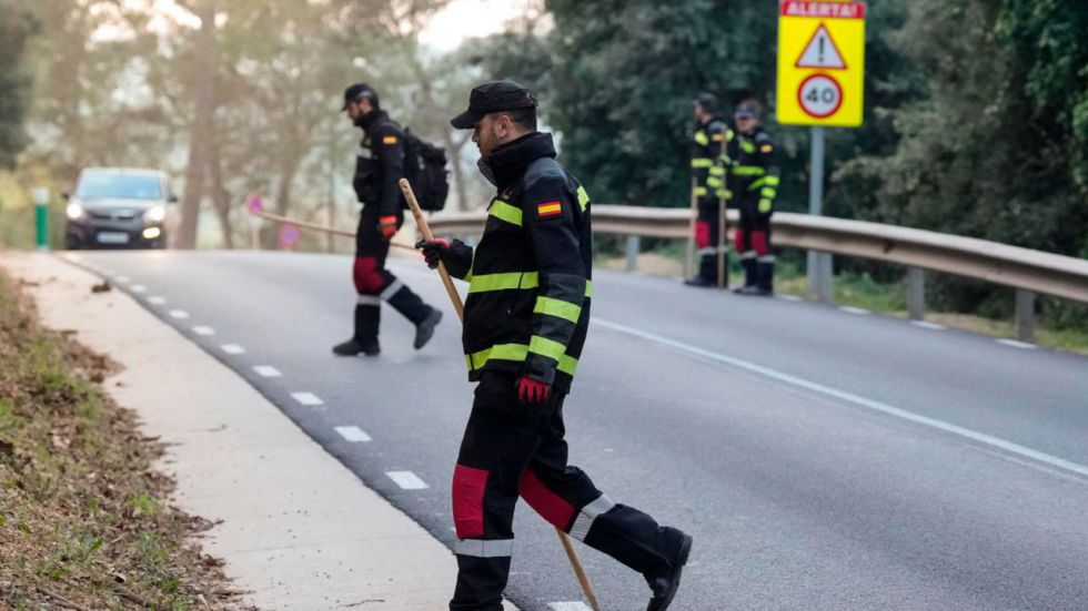 La Generalidad sacrificará a 30.000 cerdos cerca del foco de la peste africana