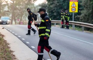 La Generalidad sacrificará a 30.000 cerdos cerca del foco de la peste africana