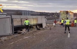 Cortada la A-22 en Monzón tras volcar un camión articulado con 170 cerdos