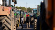 Carreteras cortadas en Cataluña por la tractorada y nuevas movilizaciones contra Mercosur