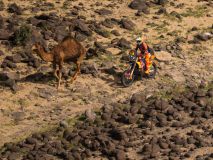 Dakar 2026. Benavides se proclama campeón por dos segundos y... ¡80 camellos!
