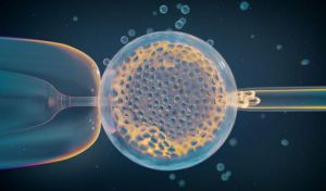 Un estudio genético explica por qué muchos embarazos se acaban perdiendo