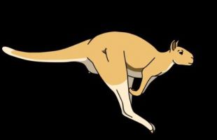 Los canguros gigantes del pasado sí podían saltar, pero sólo a ráfagas