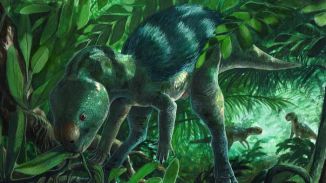 Hallado en España un diminuto dinosaurio que reescribe la evolución de los herbívoros