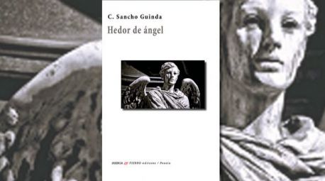 Hedor de ángel, de Carmen Sancho Guinda: ver con otros ojos al ser alado