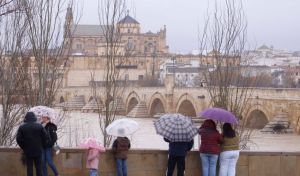 La lluvia da una tregua en Andalucía y parte de los evacuados vuelven a sus casas