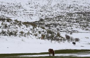 La presión en los ríos se aligera en Castilla y León en un domingo complicado por la nieve