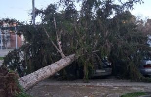 El viento deja 86 heridos y un centenar de vuelos cancelados en Cataluña