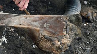 Hallan fósiles de un perezoso gigante y un mastodonte de hace 10.000 años