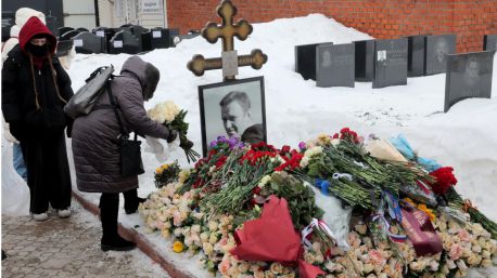 Navalni fue asesinado con una toxina letal extraída de una rana de Ecuador