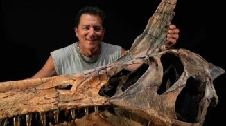 Descubierto en el Sáhara un nuevo Spinosaurus, una 'garza infernal' de 13 metros