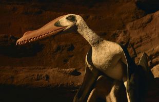 Descubren más de cien fósiles de pterosaurios en el yacimiento El Pozo de Teruel